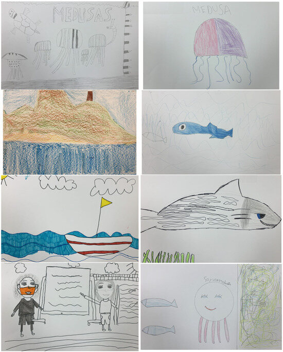 Sustainability 16 10824 g0a1b