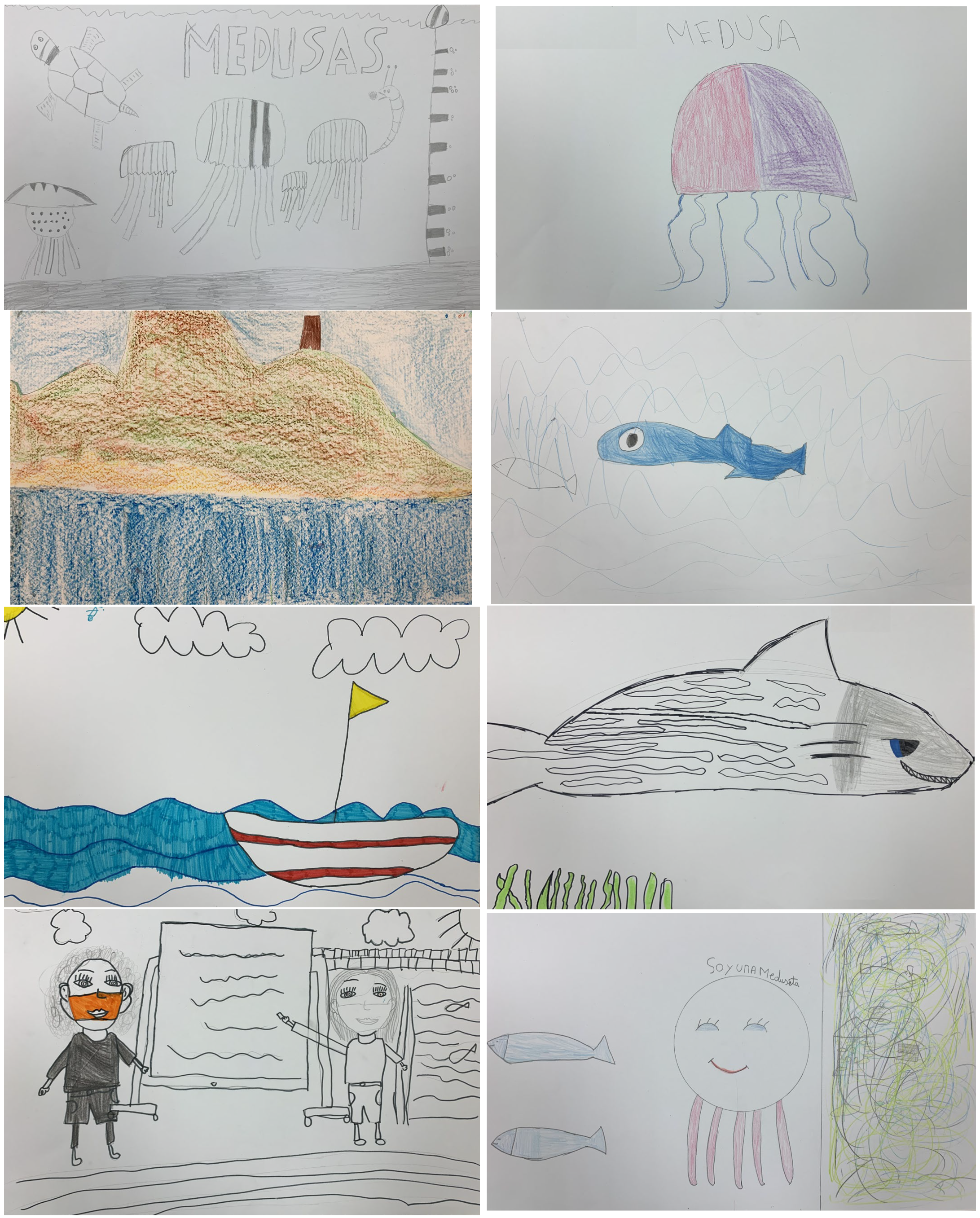 Sustainability 16 10824 g0a1b