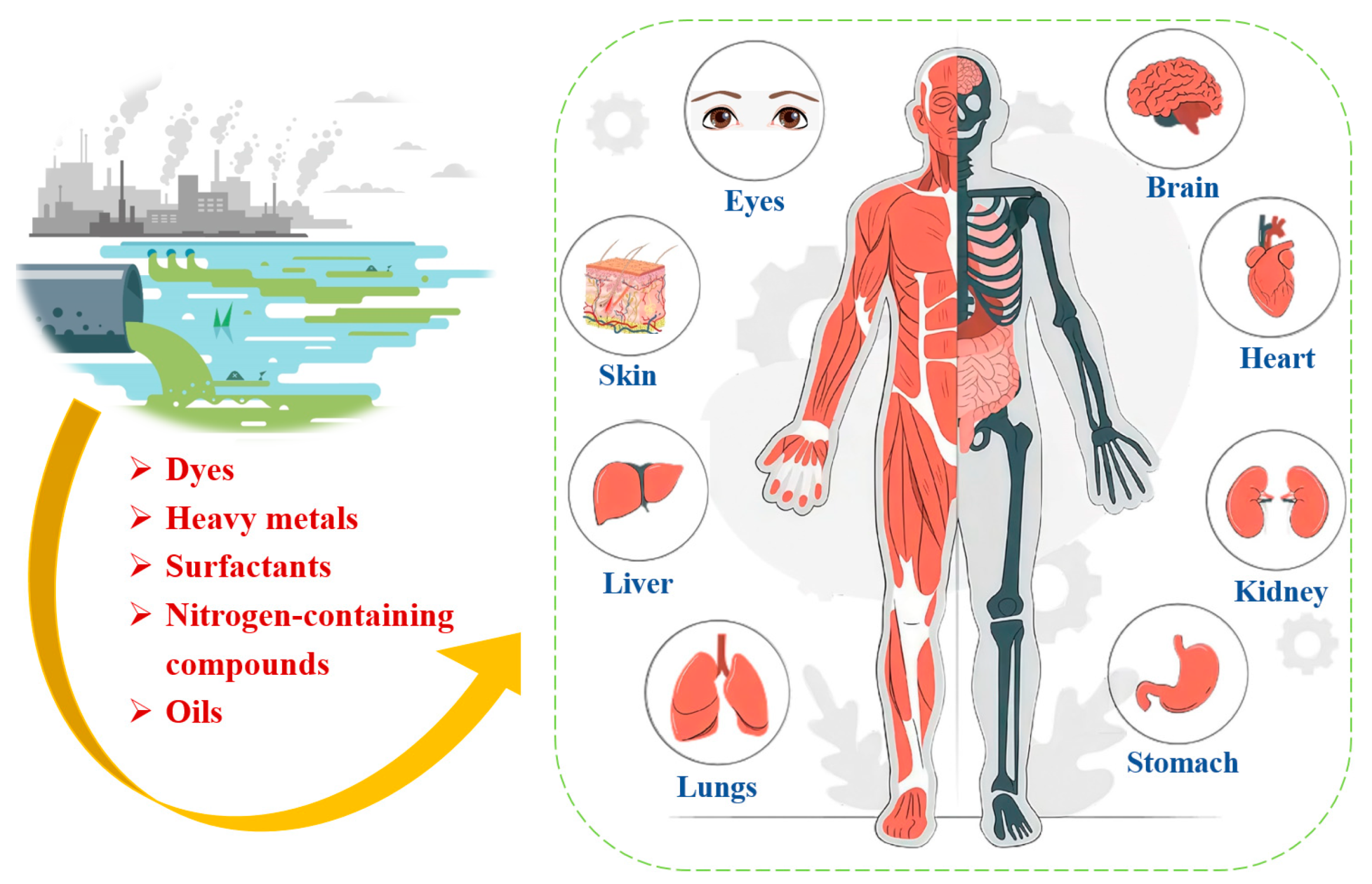 Sustainability 16 10867 g001