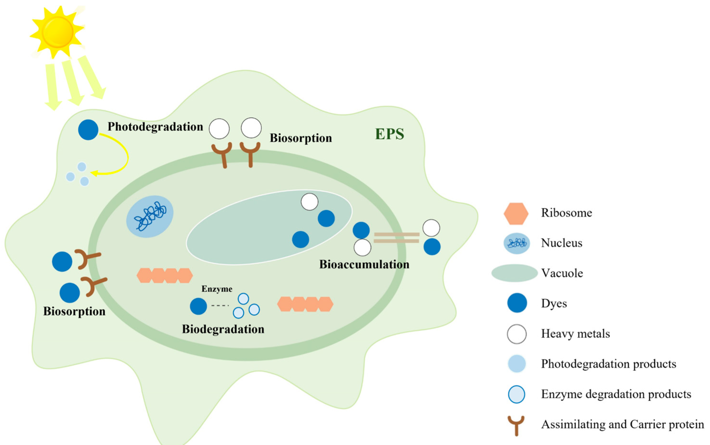 Sustainability 16 10867 g002