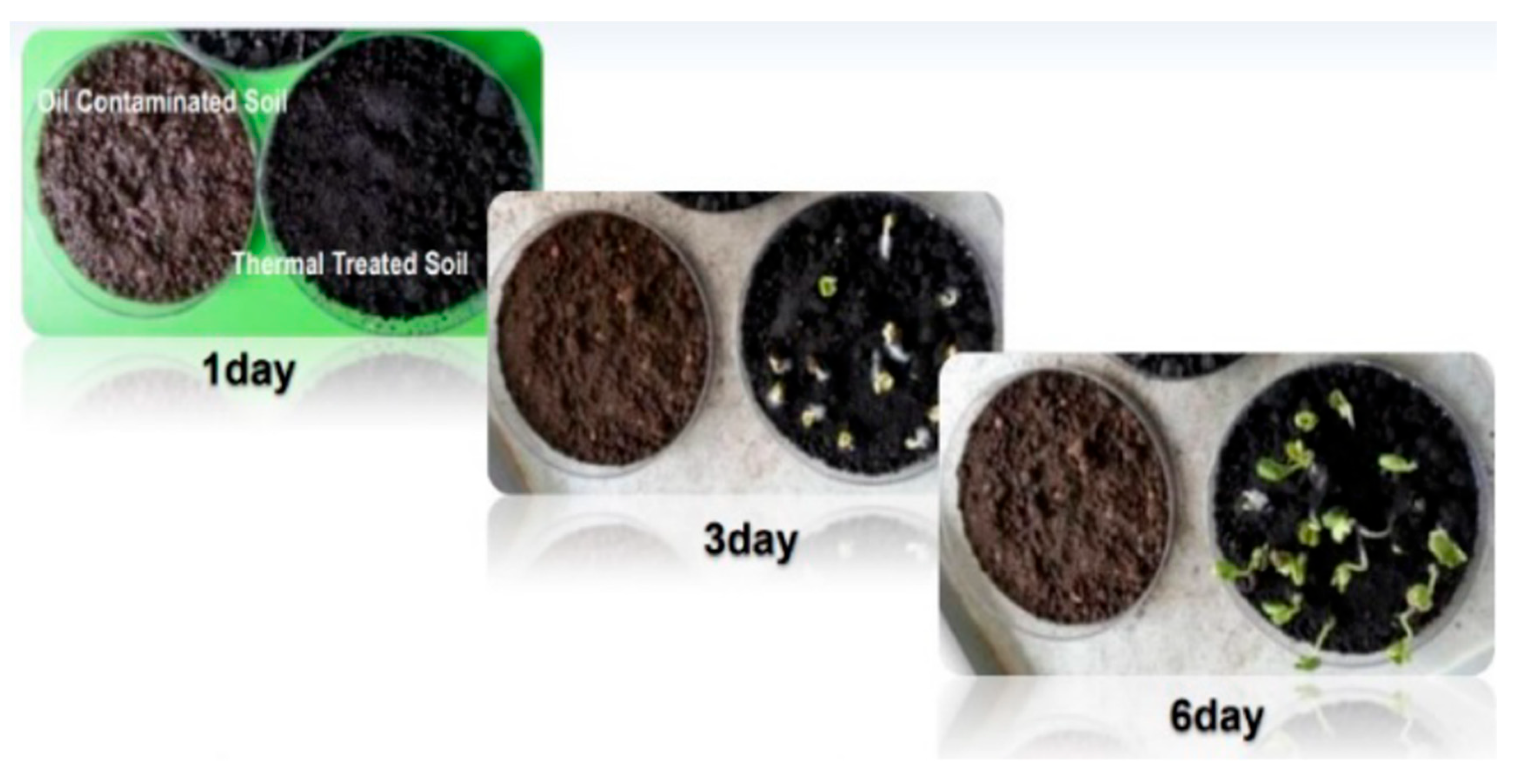 Sustainability 16 10900 g010