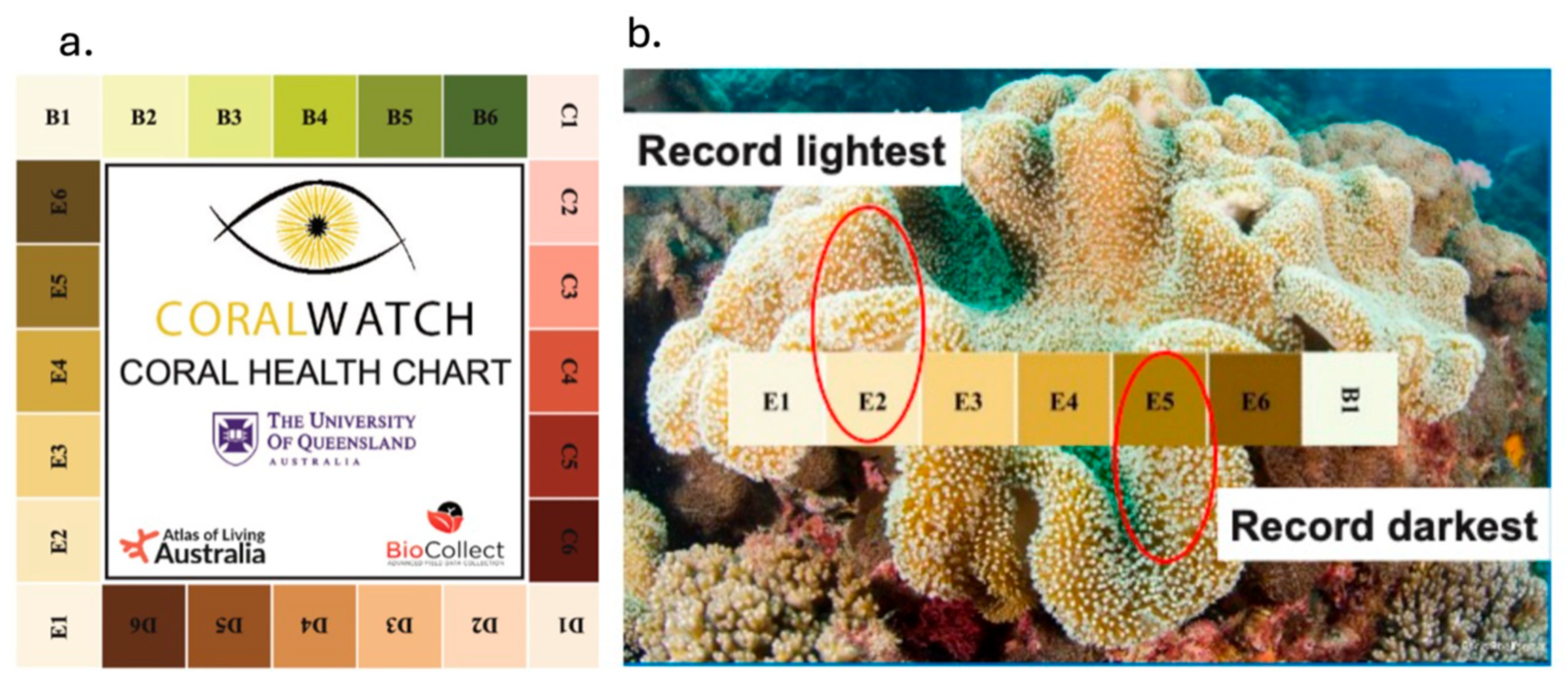 Sustainability 16 11019 g002