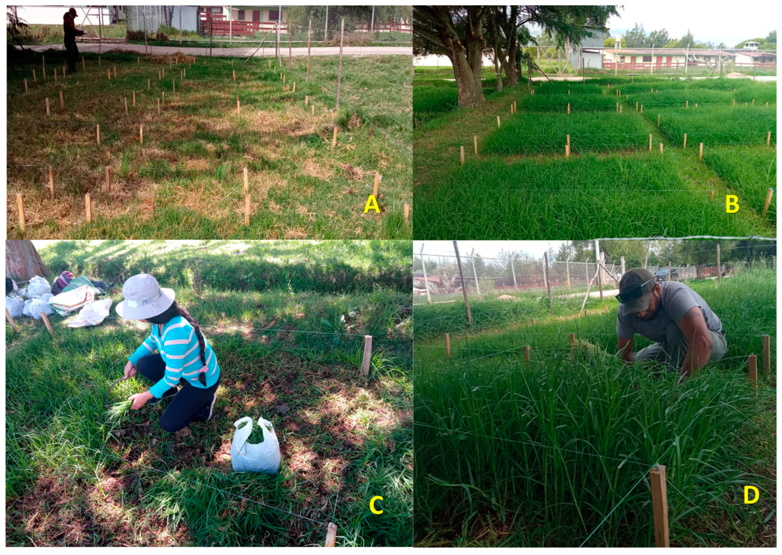 Sustainability 16 11021 g003