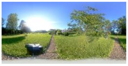 Sustainability 16 11022 i001