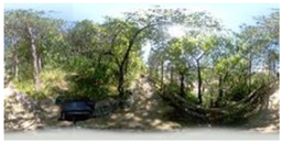 Sustainability 16 11022 i012