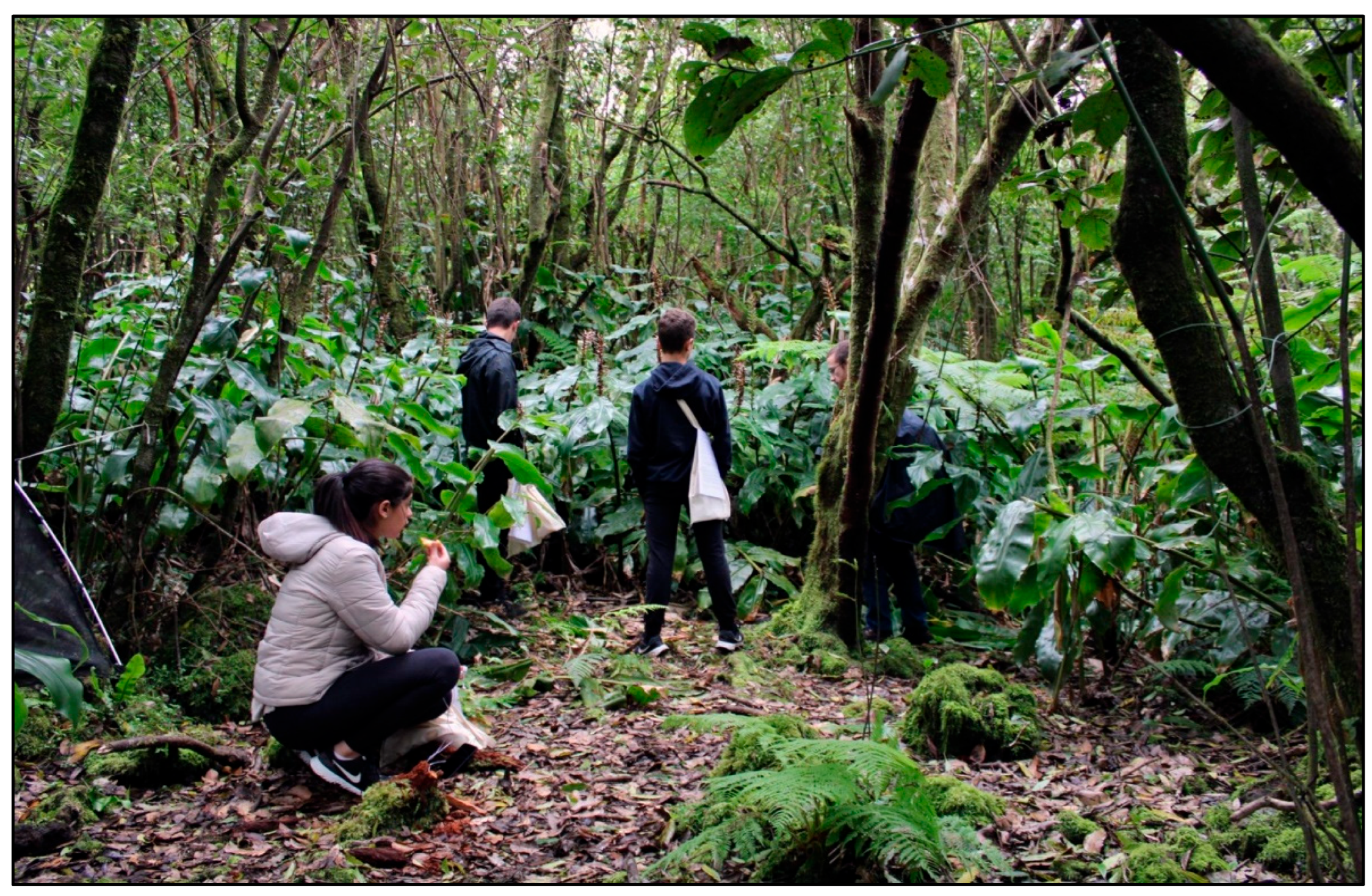 Sustainability 16 11088 g003