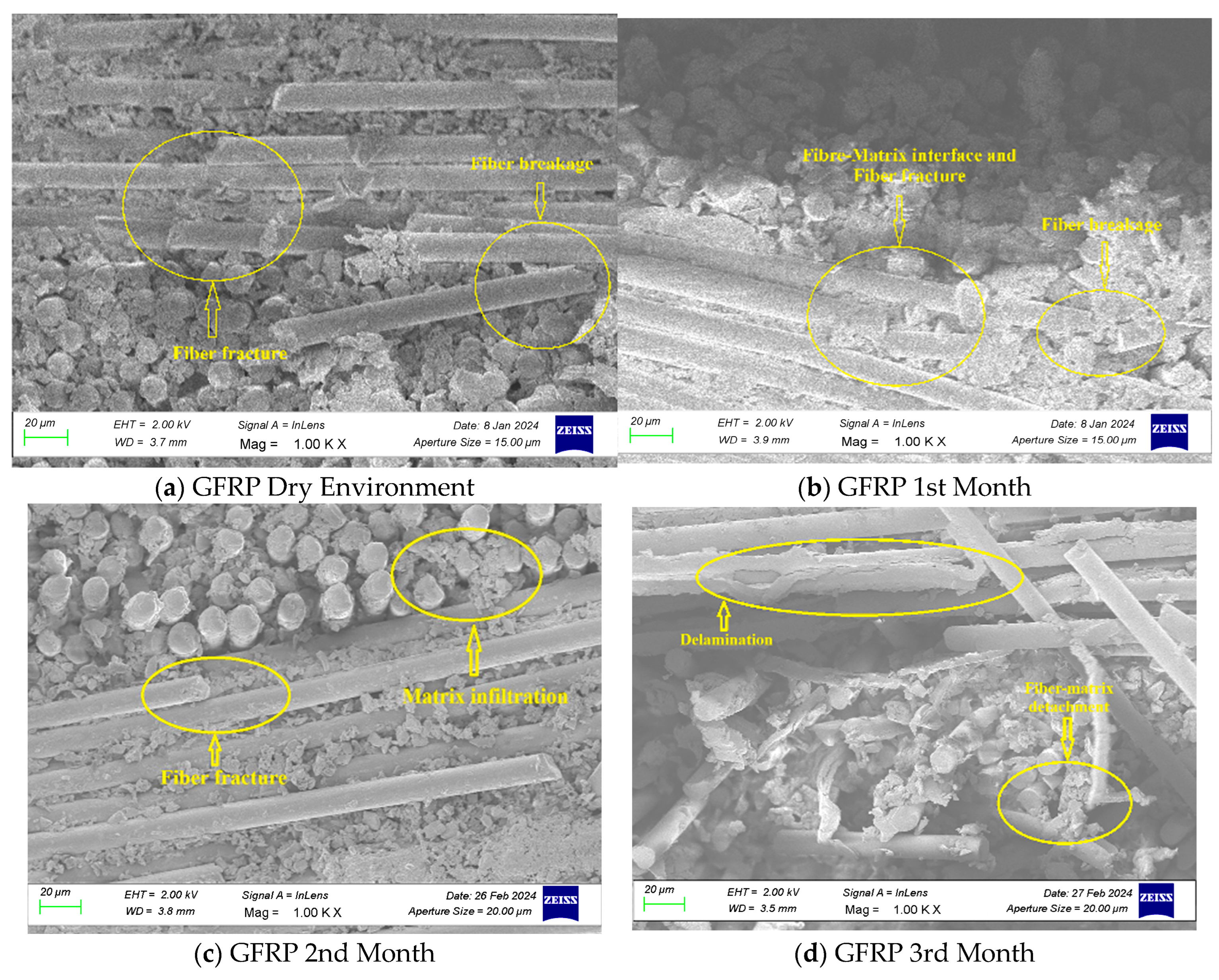 Sustainability 16 11105 g010