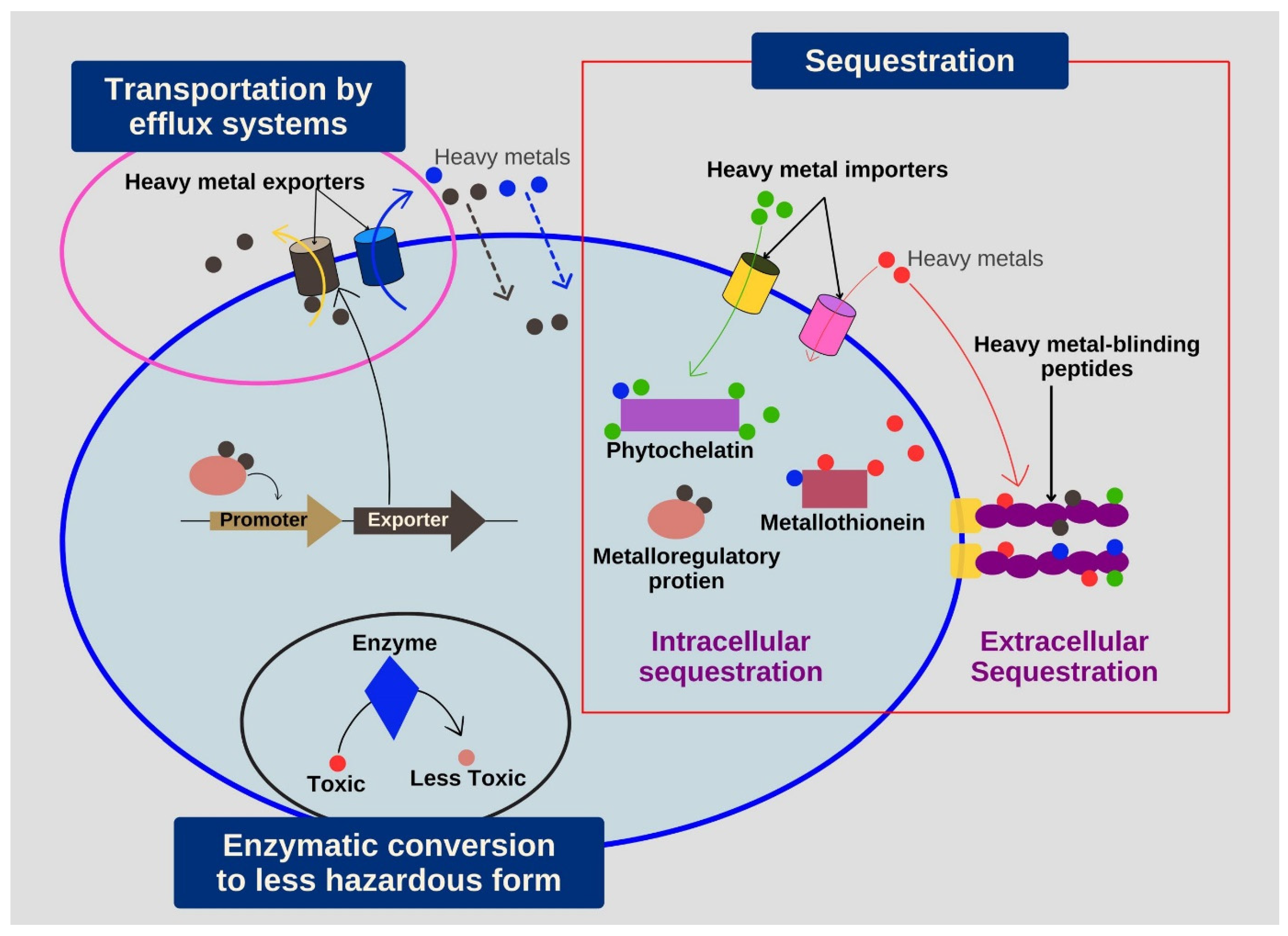 Sustainability 16 11124 g001 Sustainability 16 11124 g001