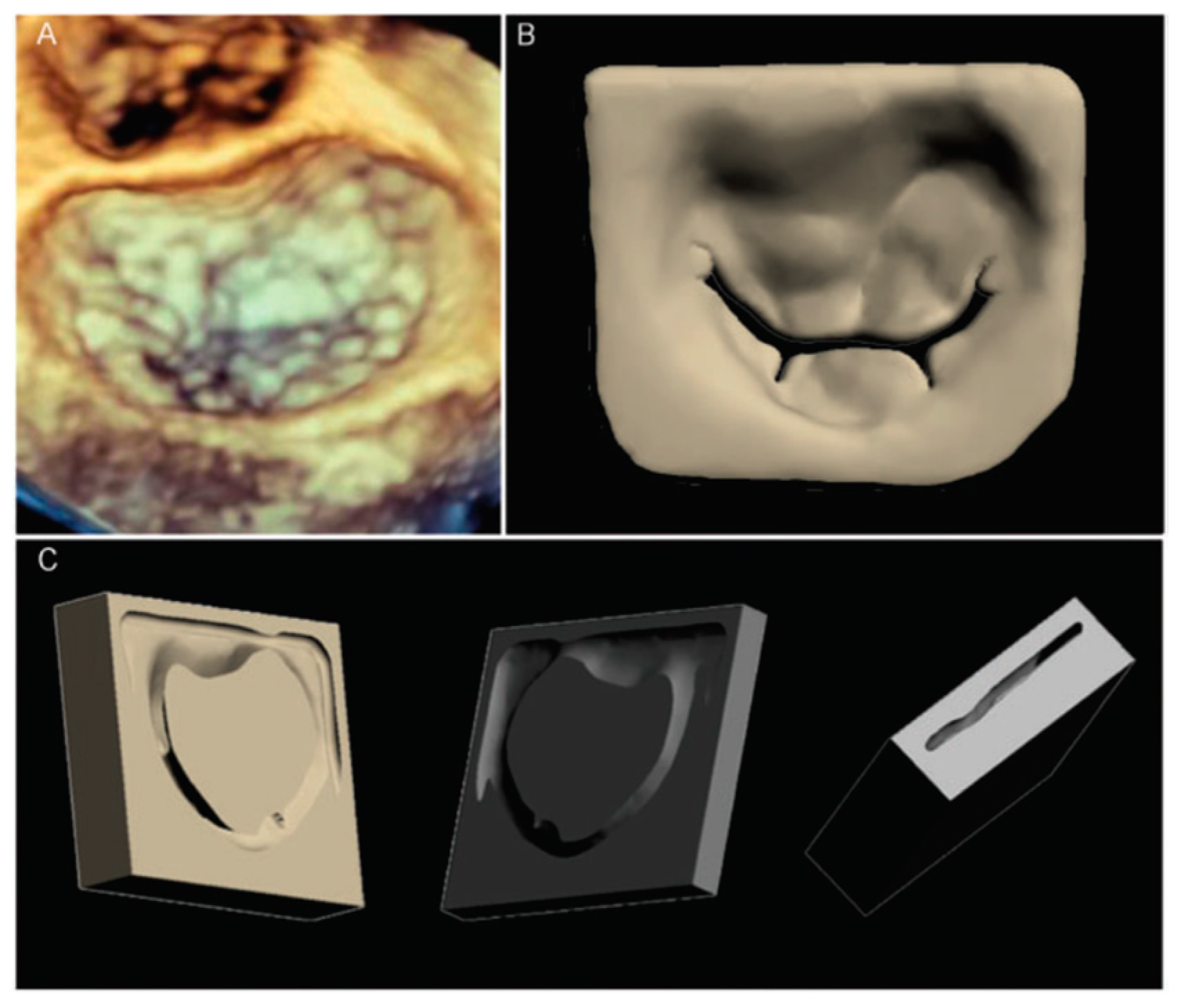 Sustainability 16 11174 g005