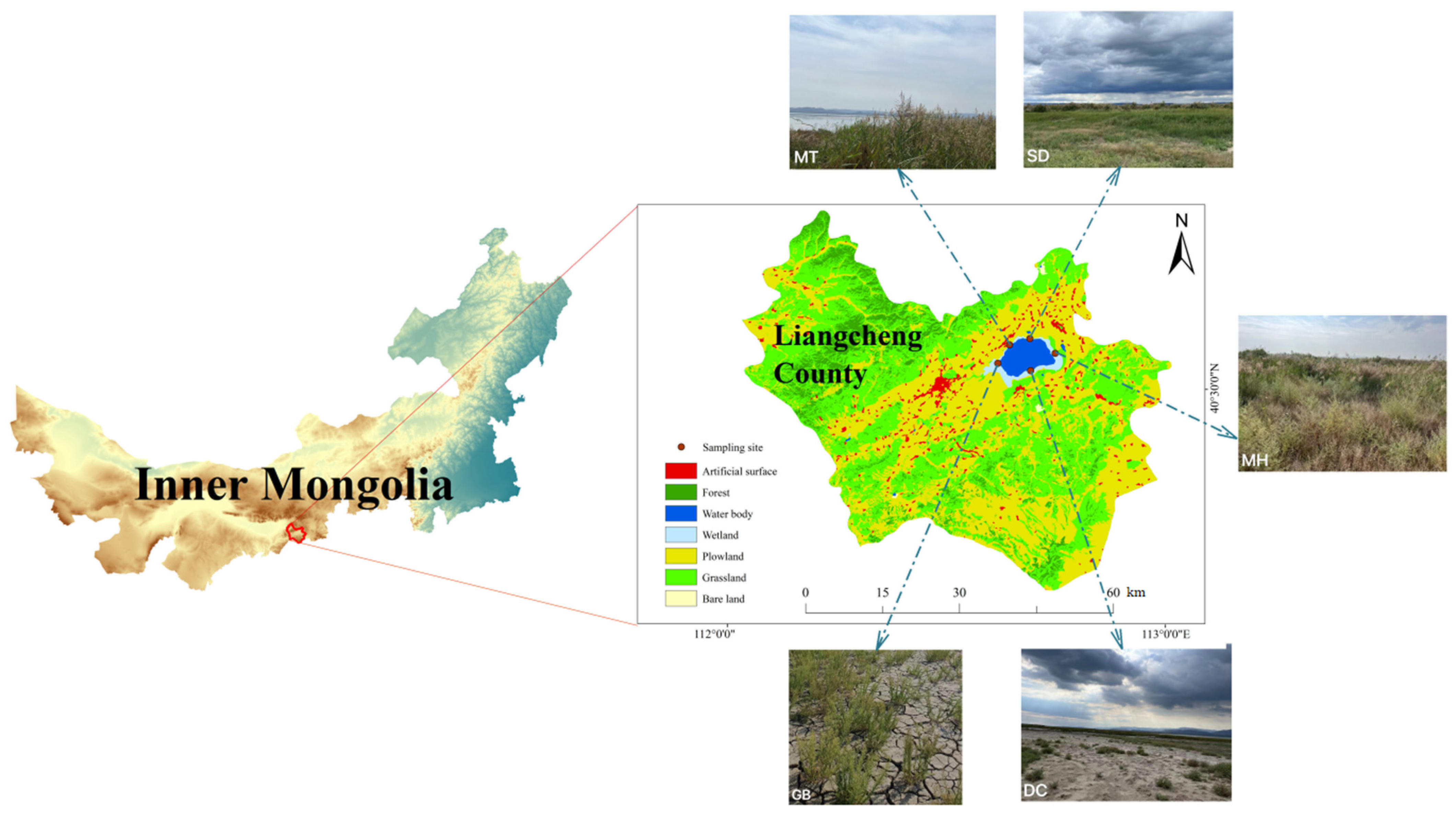 Sustainability 16 11221 g001