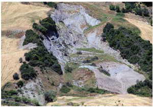 Sustainability 16 11273 i009