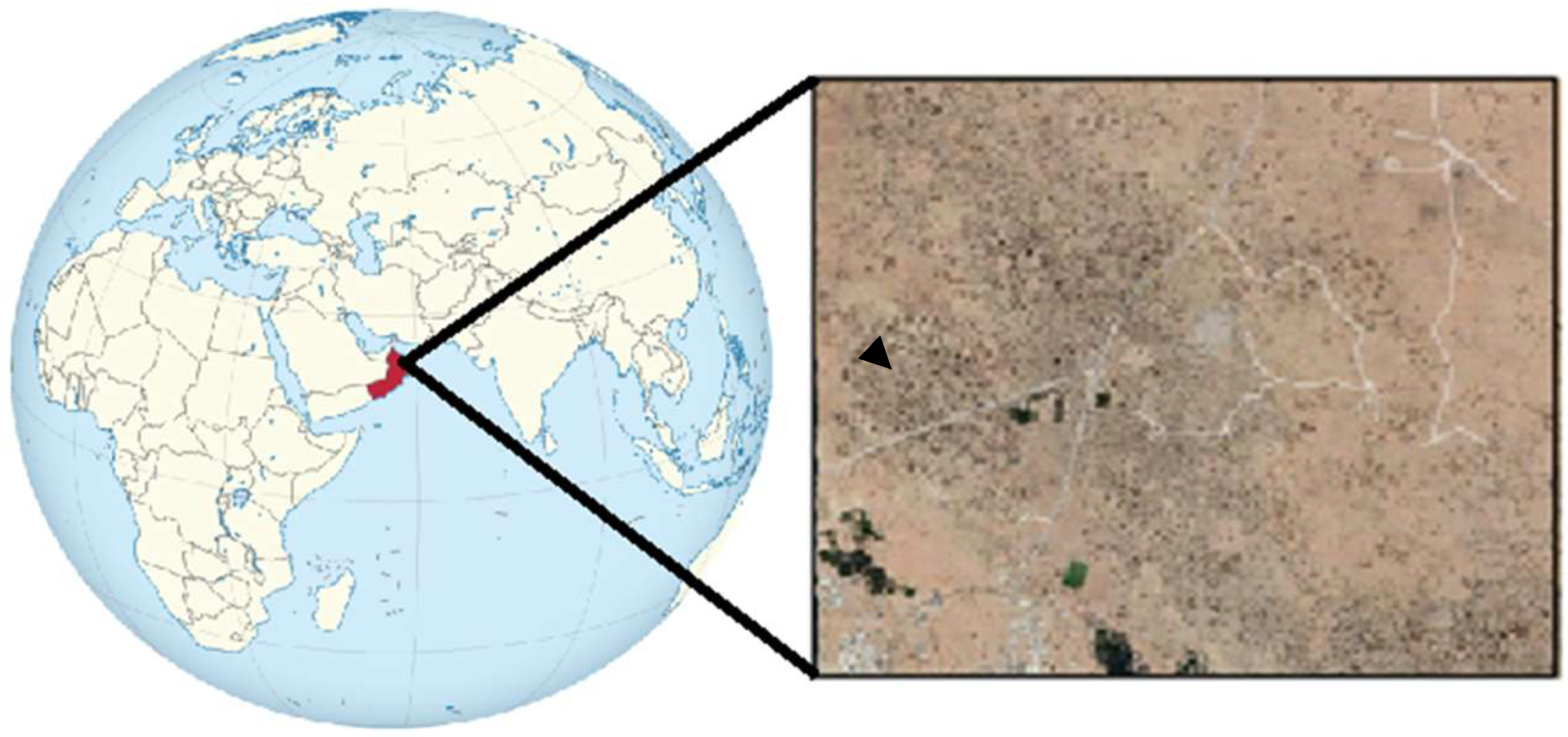 Sustainability 17 00123 g001