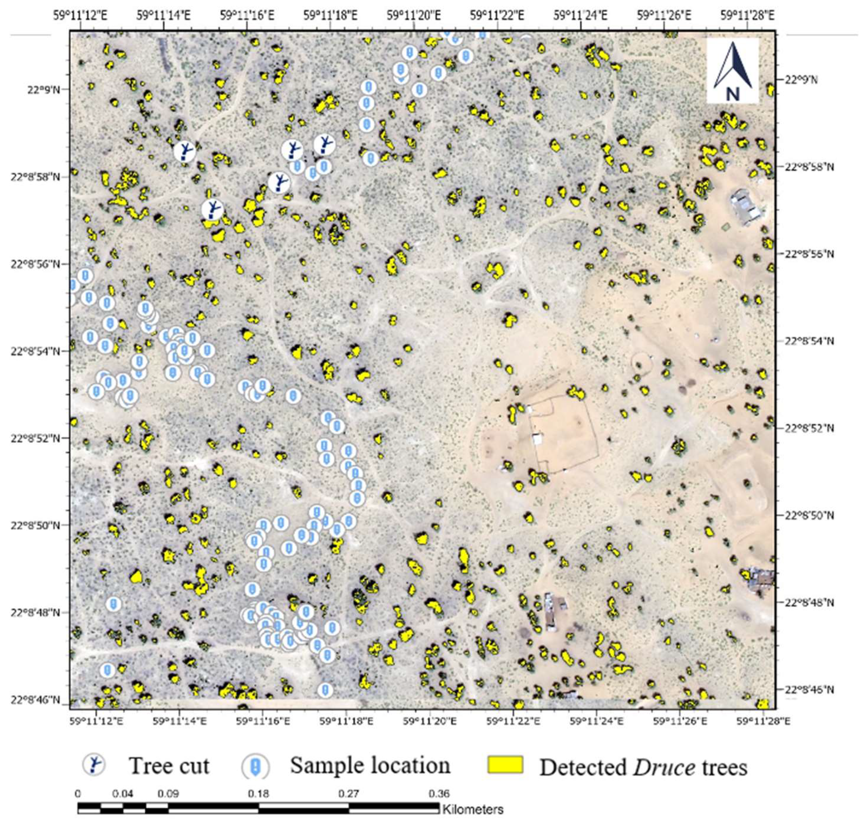Sustainability 17 00123 g016