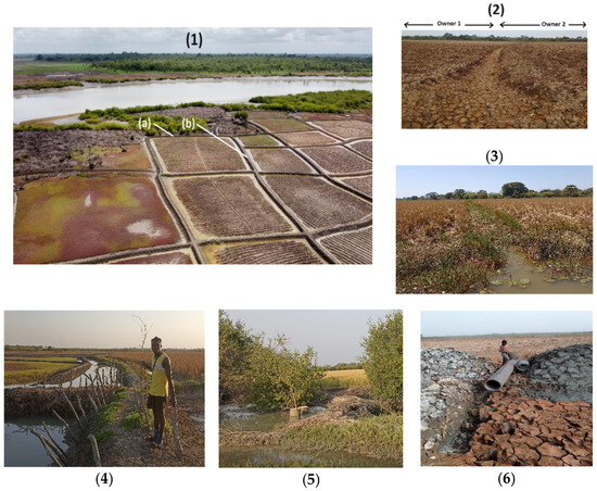 Sustainability 17 00136 g0a11