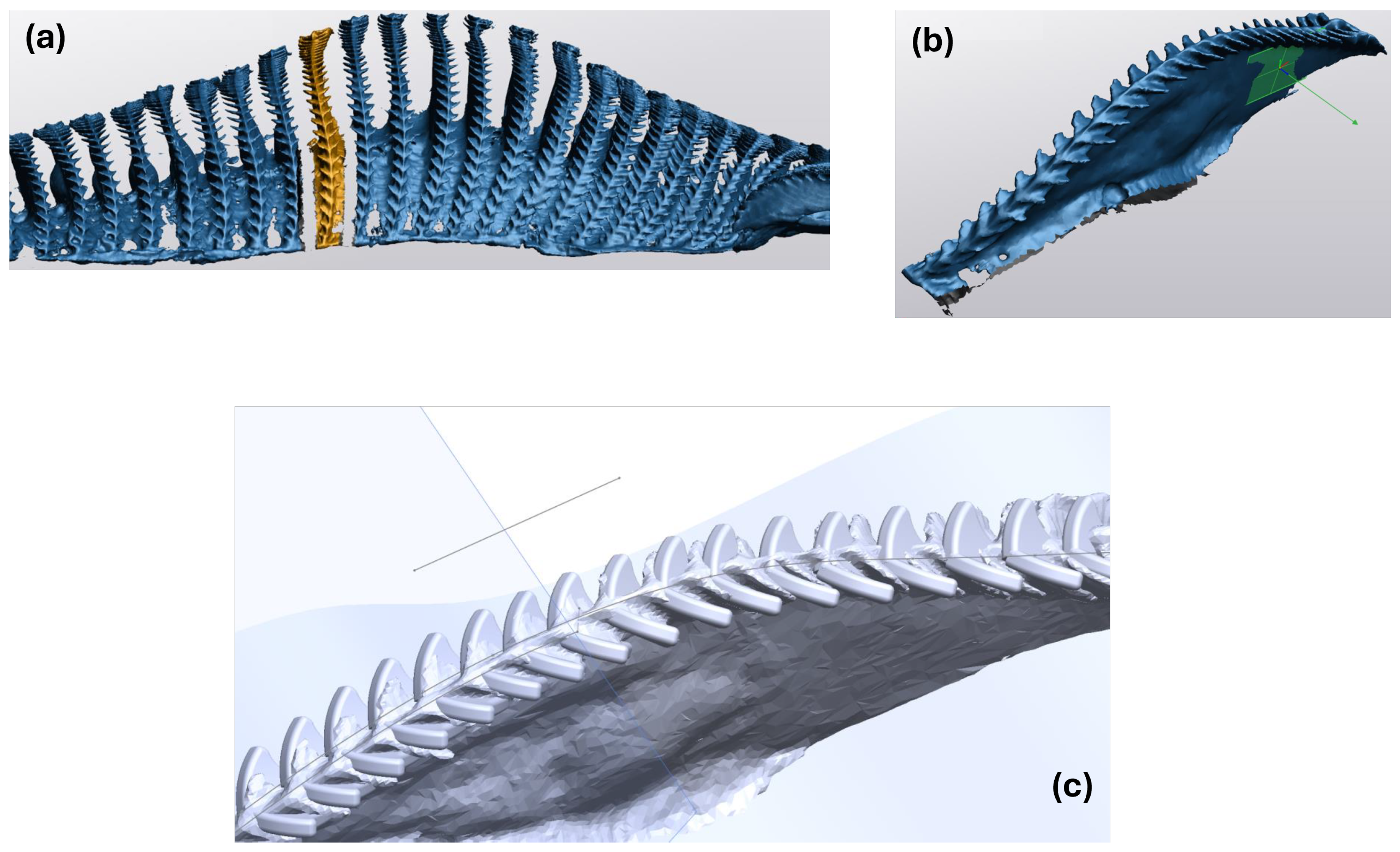 Sustainability 17 00170 g003