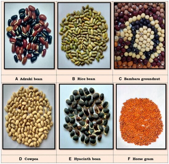 Sustainability 17 00350 g001