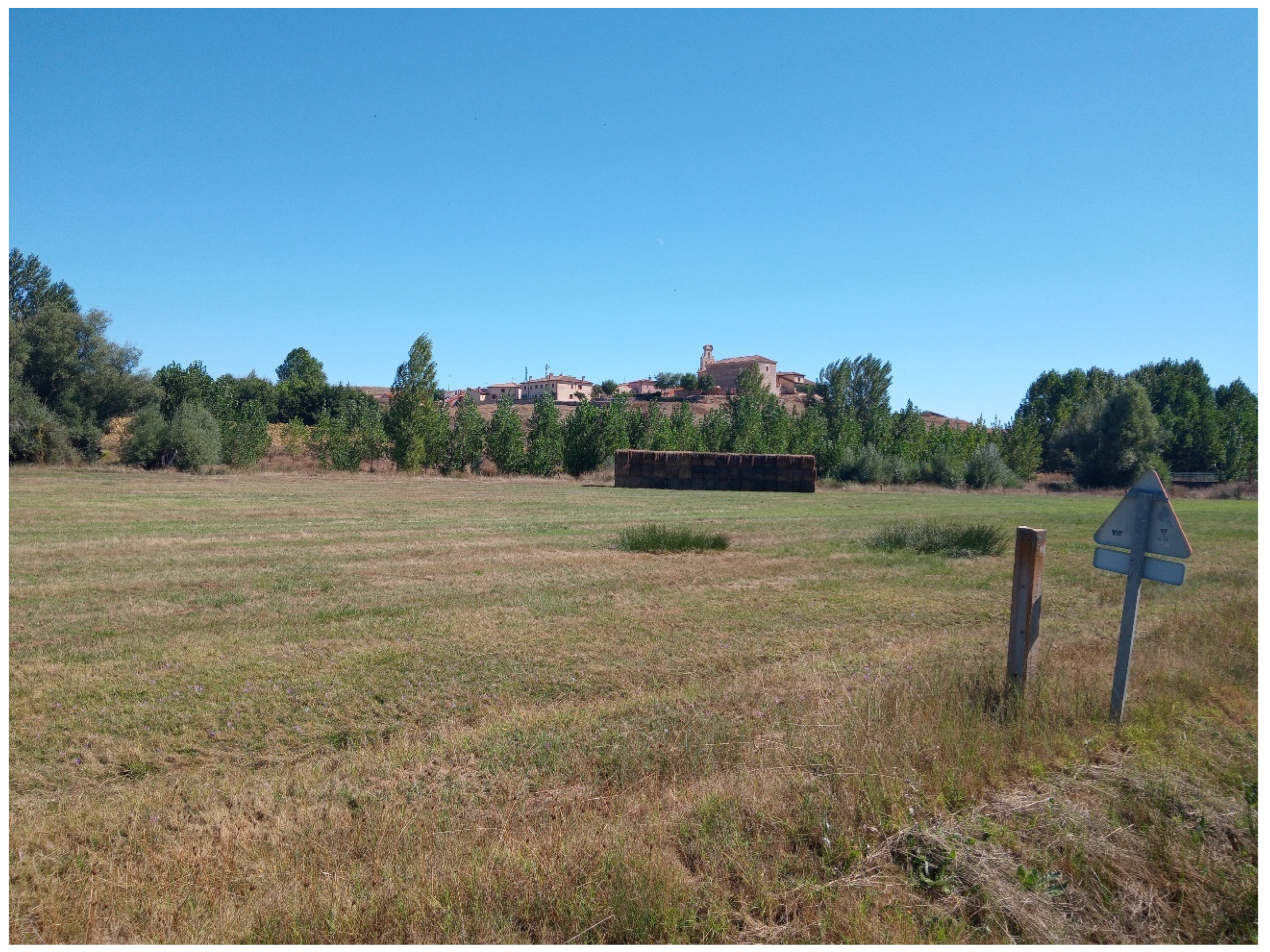 Sustainability 17 00485 g007