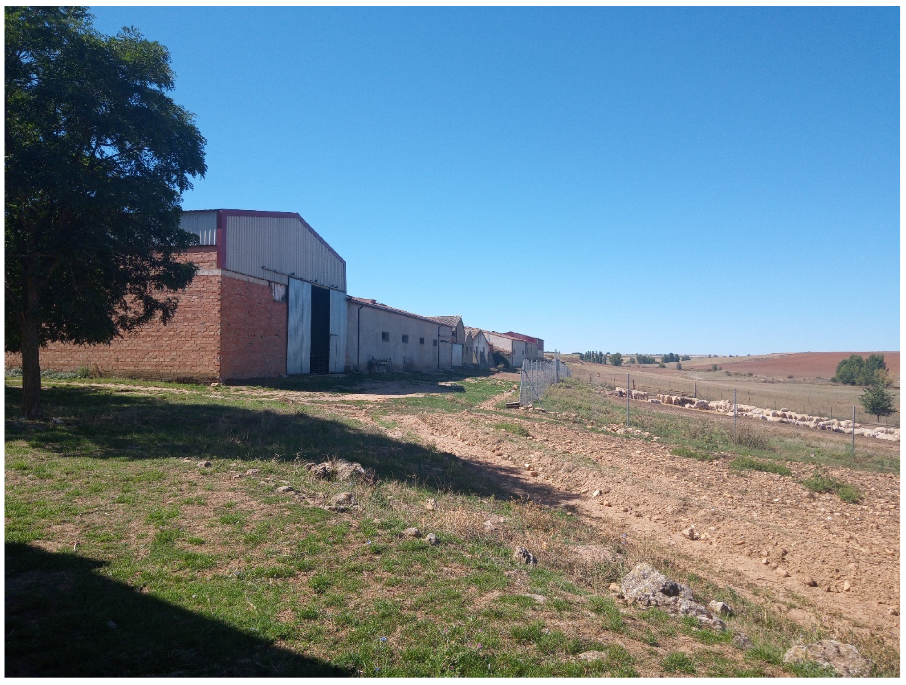 Sustainability 17 00485 g008