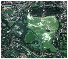 Sustainability 17 00515 i002