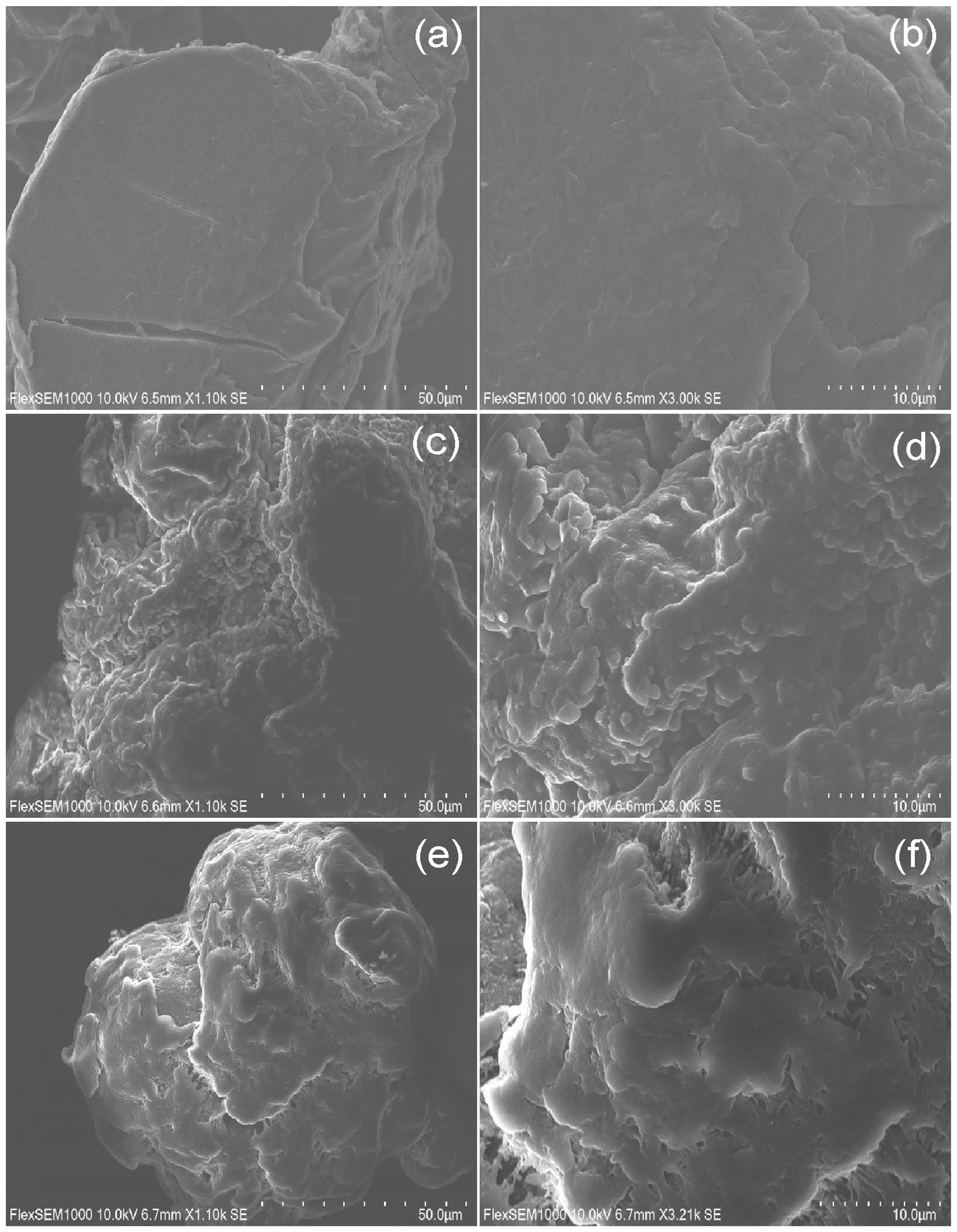 Sustainability 17 00516 g005