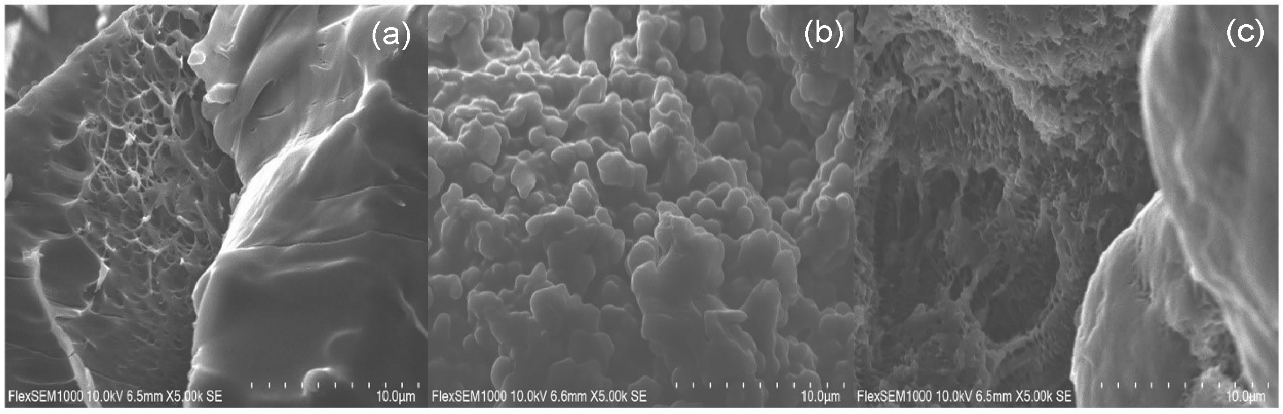 Sustainability 17 00516 g009