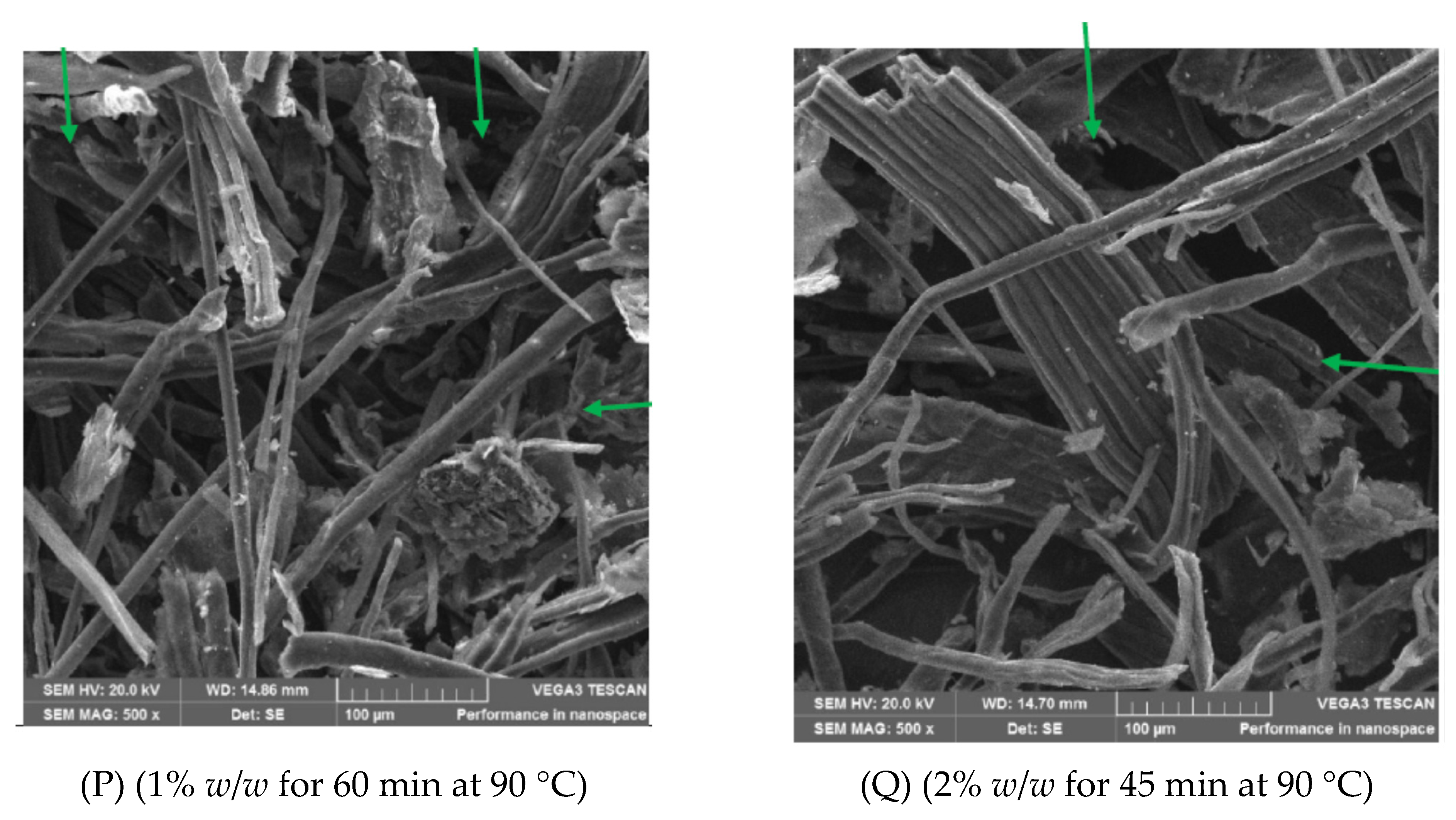 Sustainability 17 00534 g002a