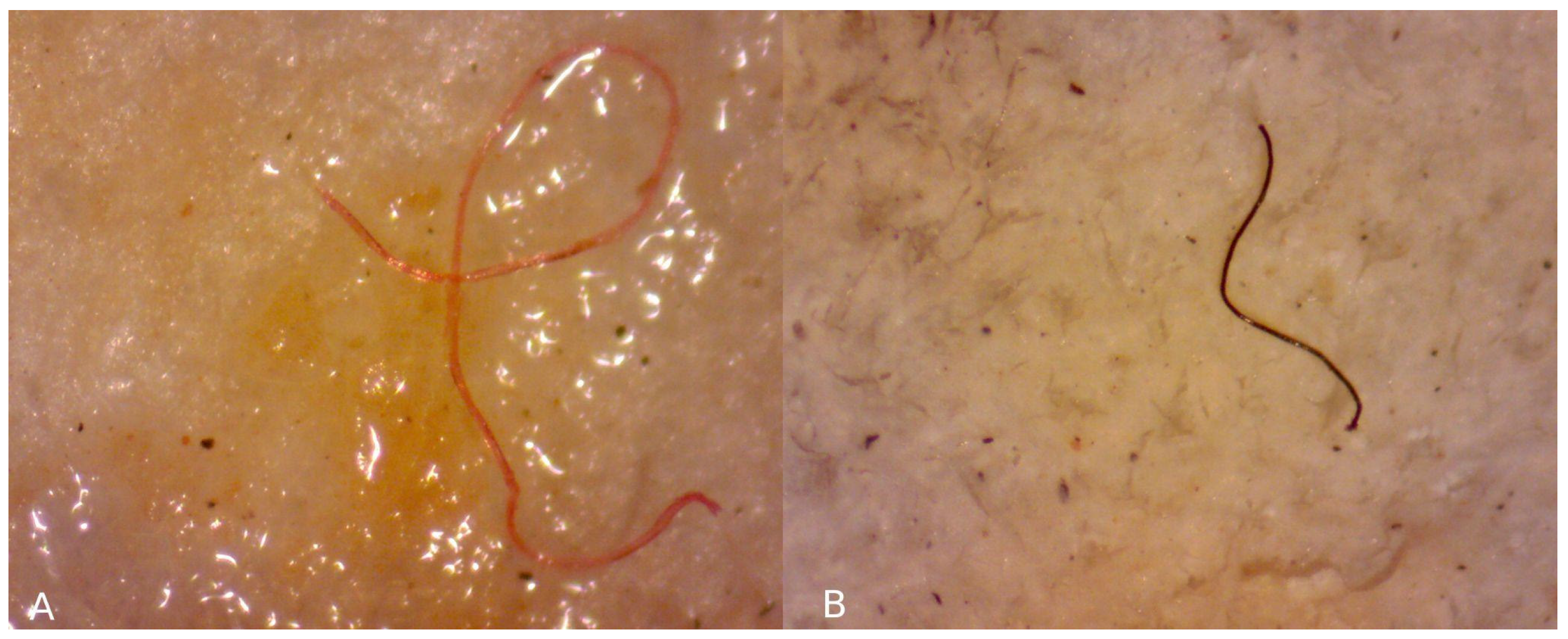 Sustainability 17 00537 g002