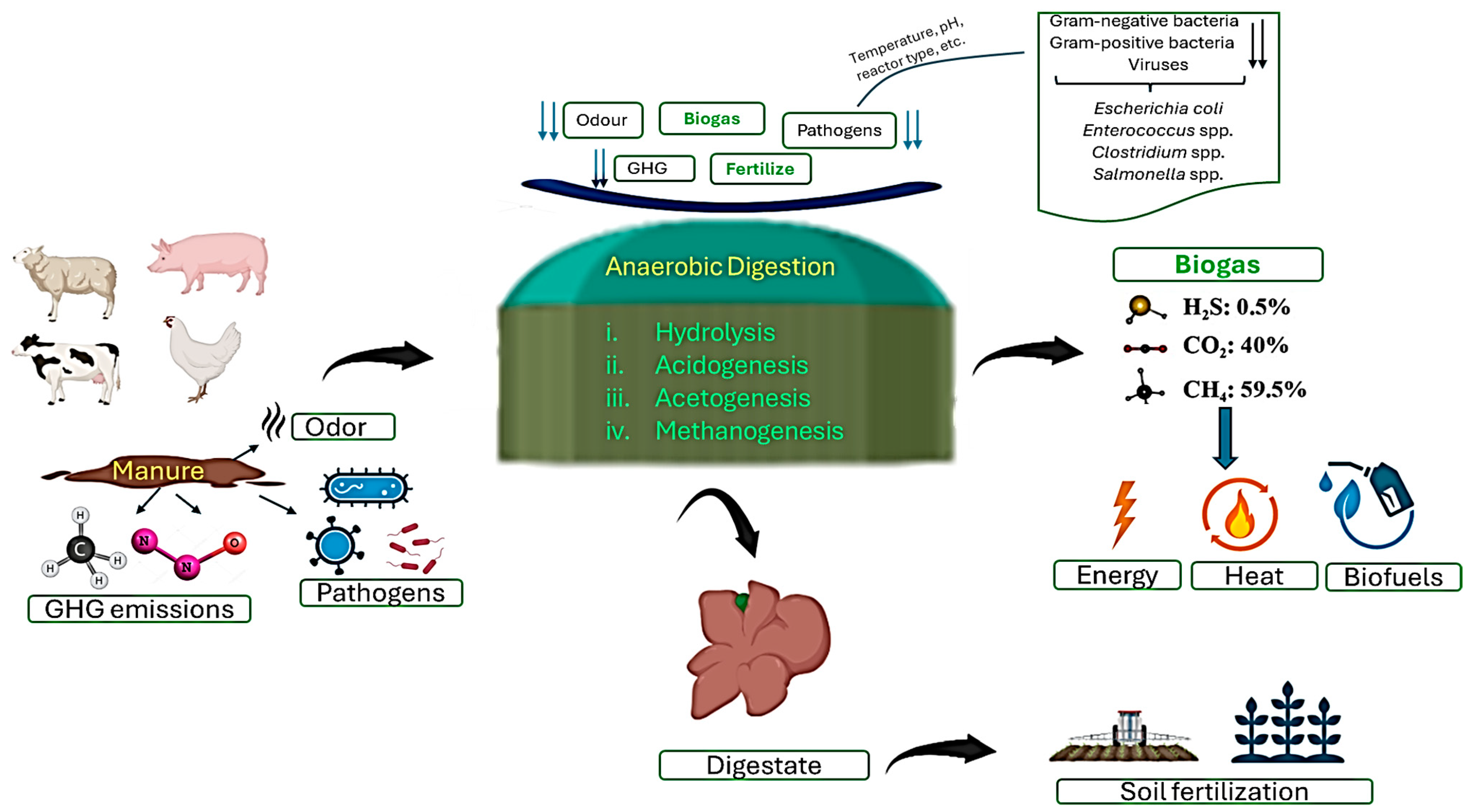 Sustainability 17 00586 g002