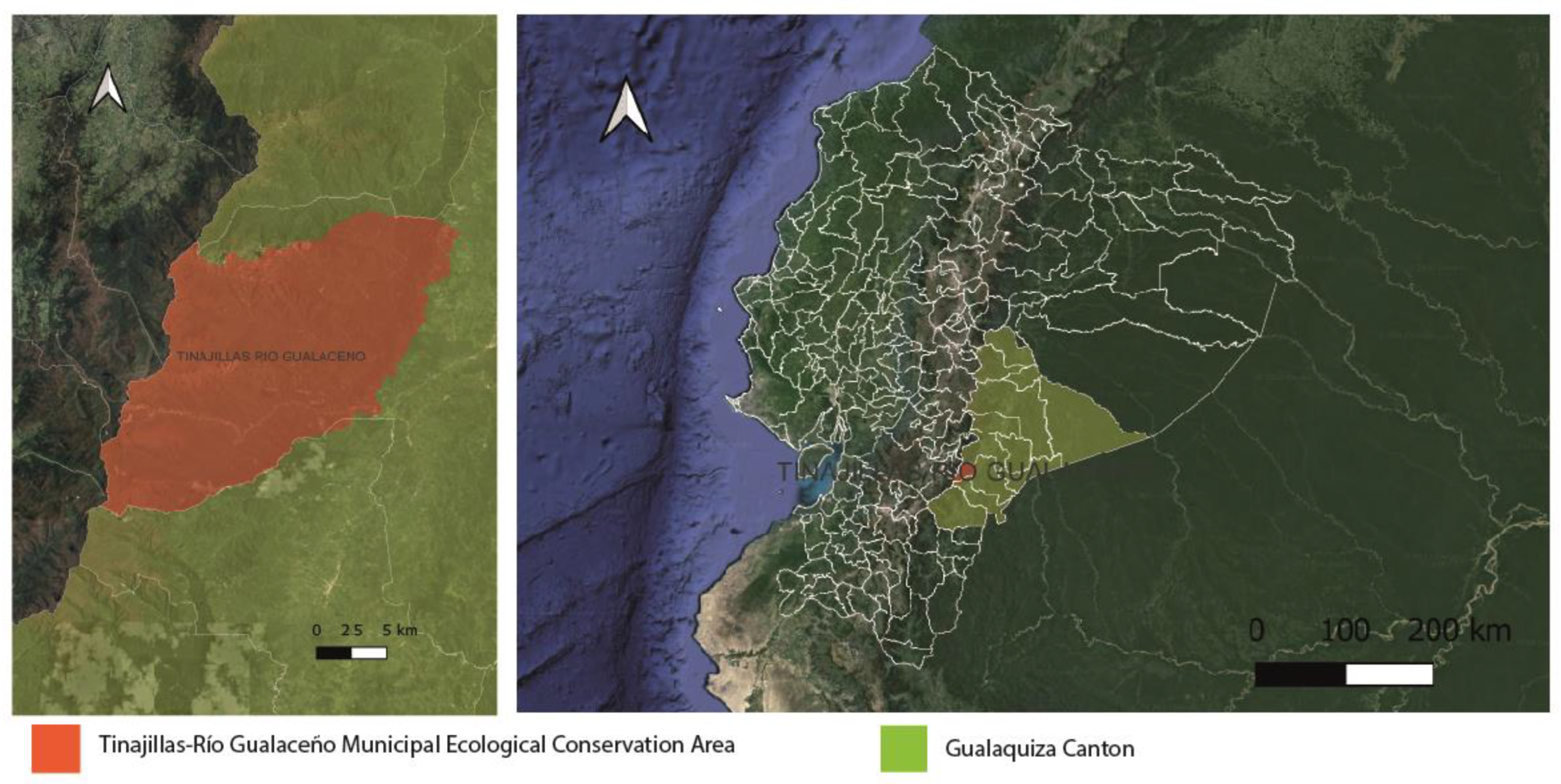 Sustainability 17 00654 g001