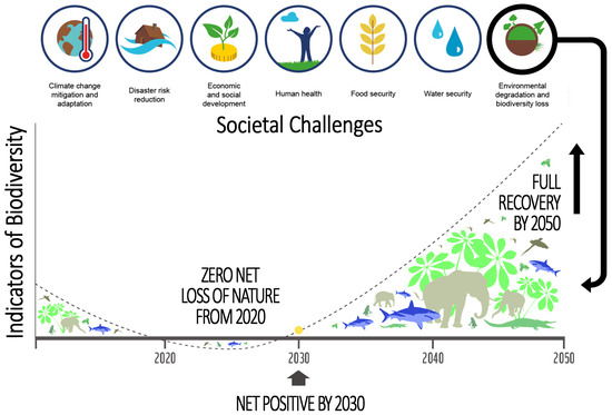 Sustainability 17 00677 g001