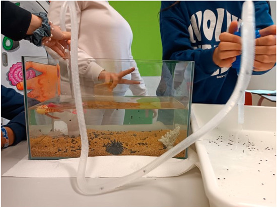 Sustainability 17 00688 g0a1