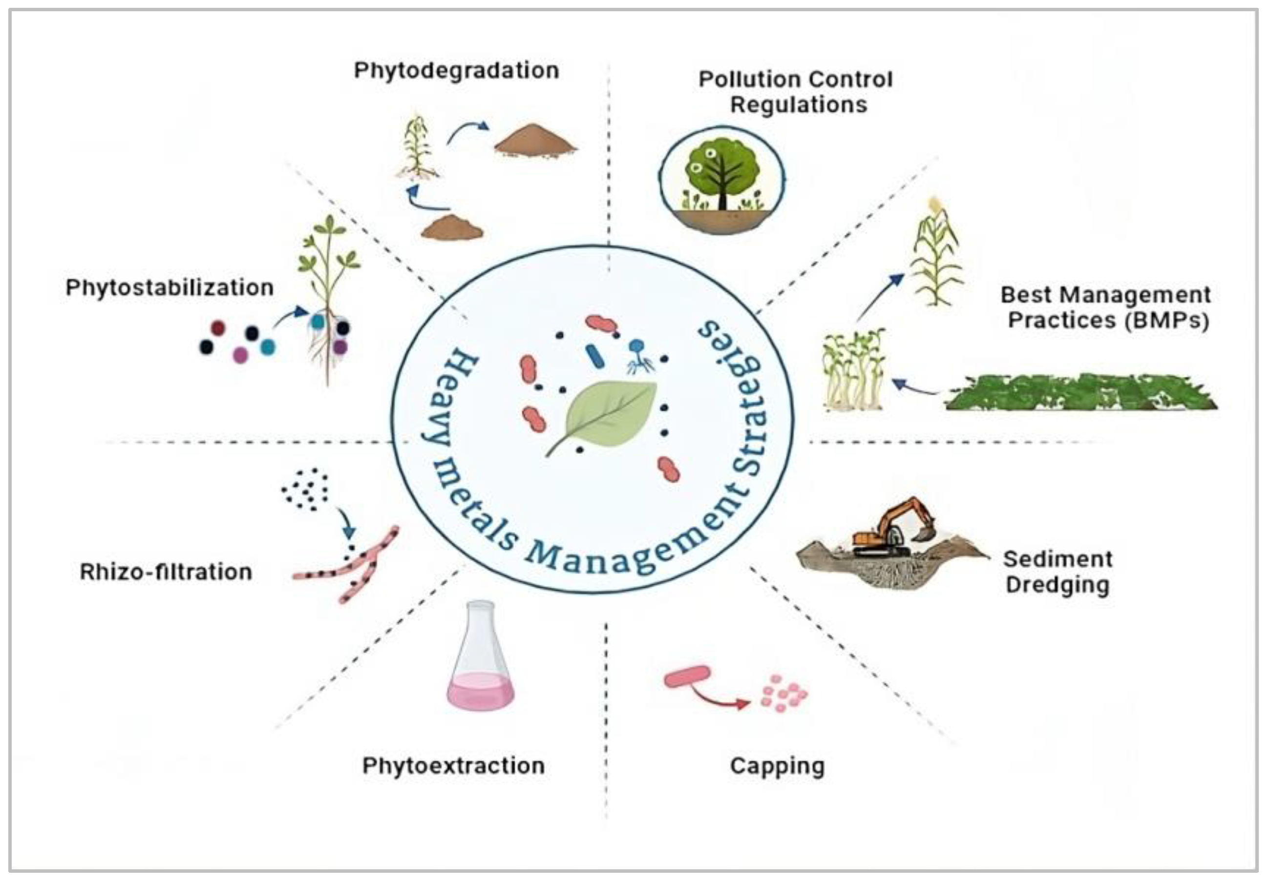Sustainability 17 00701 g002 Sustainability 17 00701 g002