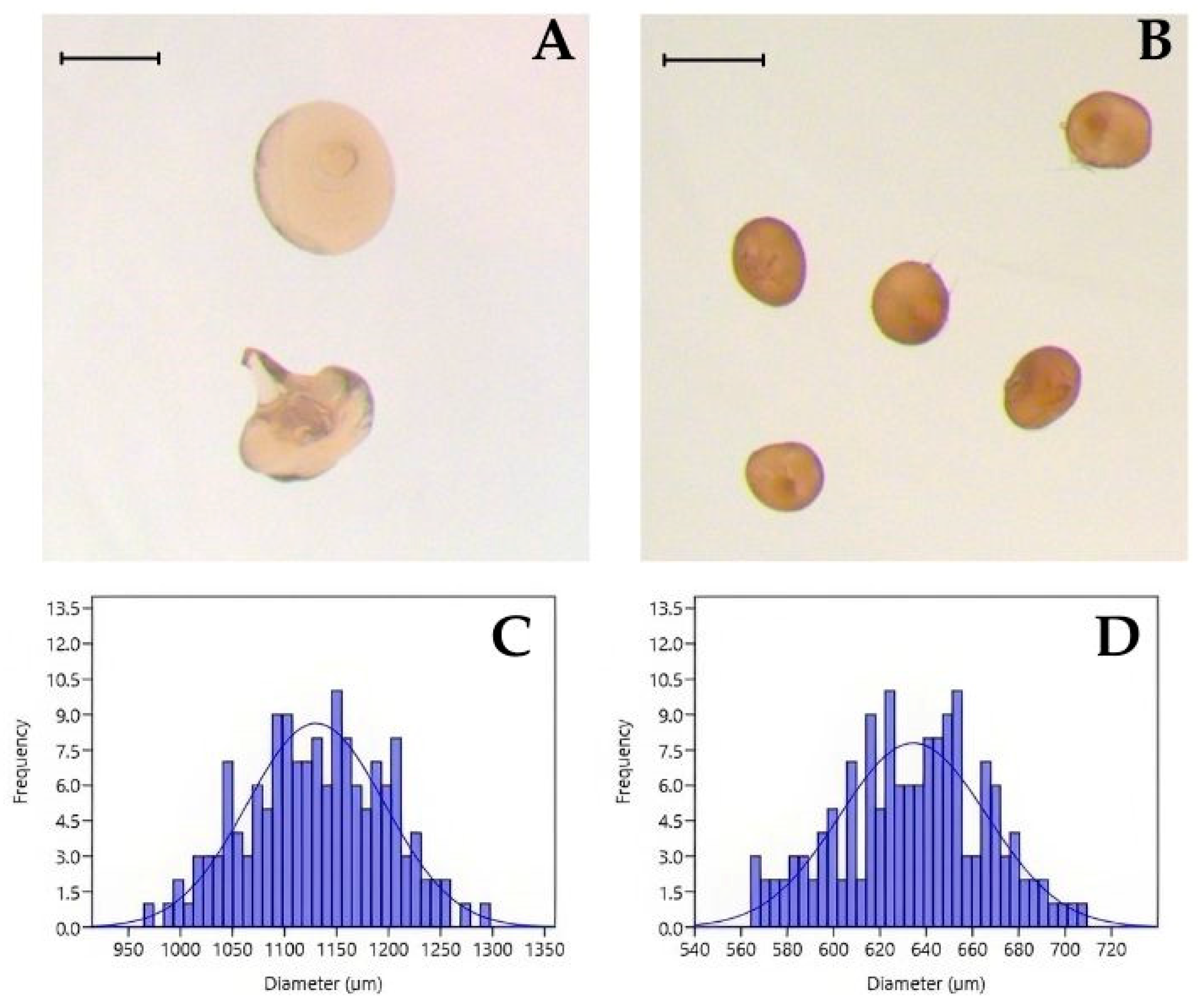 Sustainability 17 00706 g004
