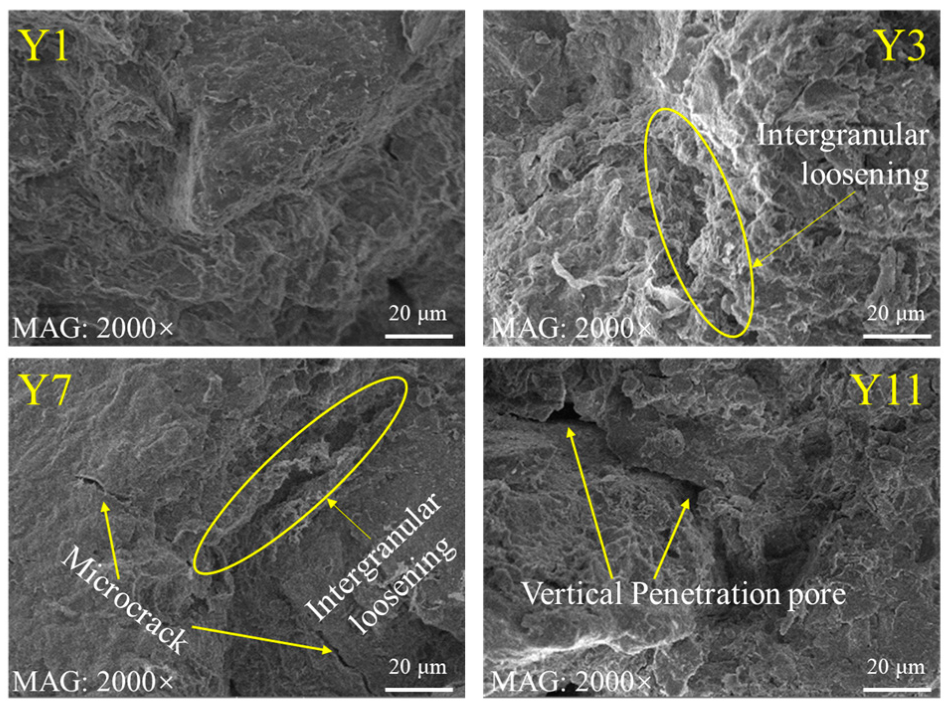 Sustainability 17 00762 g011
