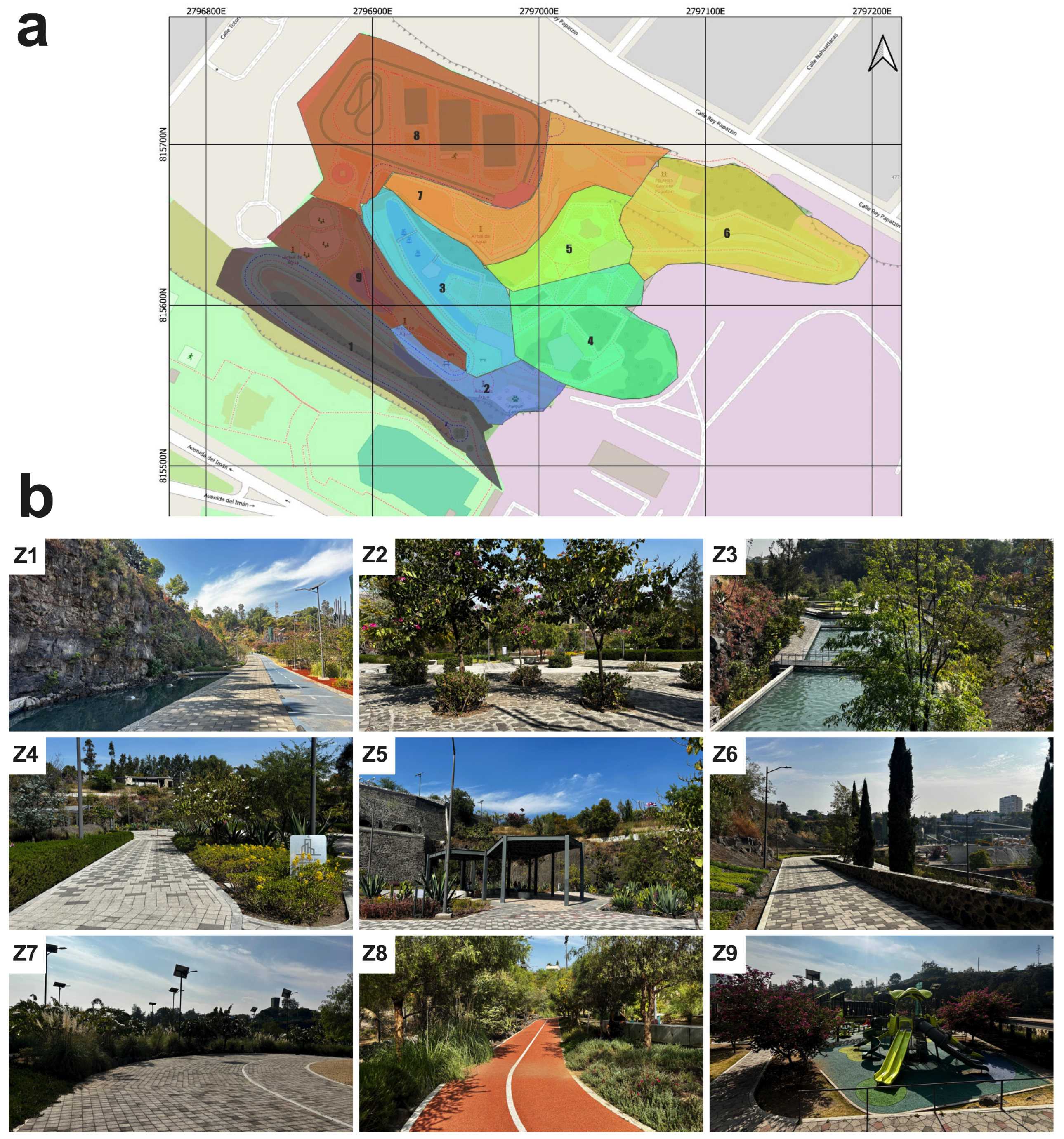 Sustainability 17 00799 g001