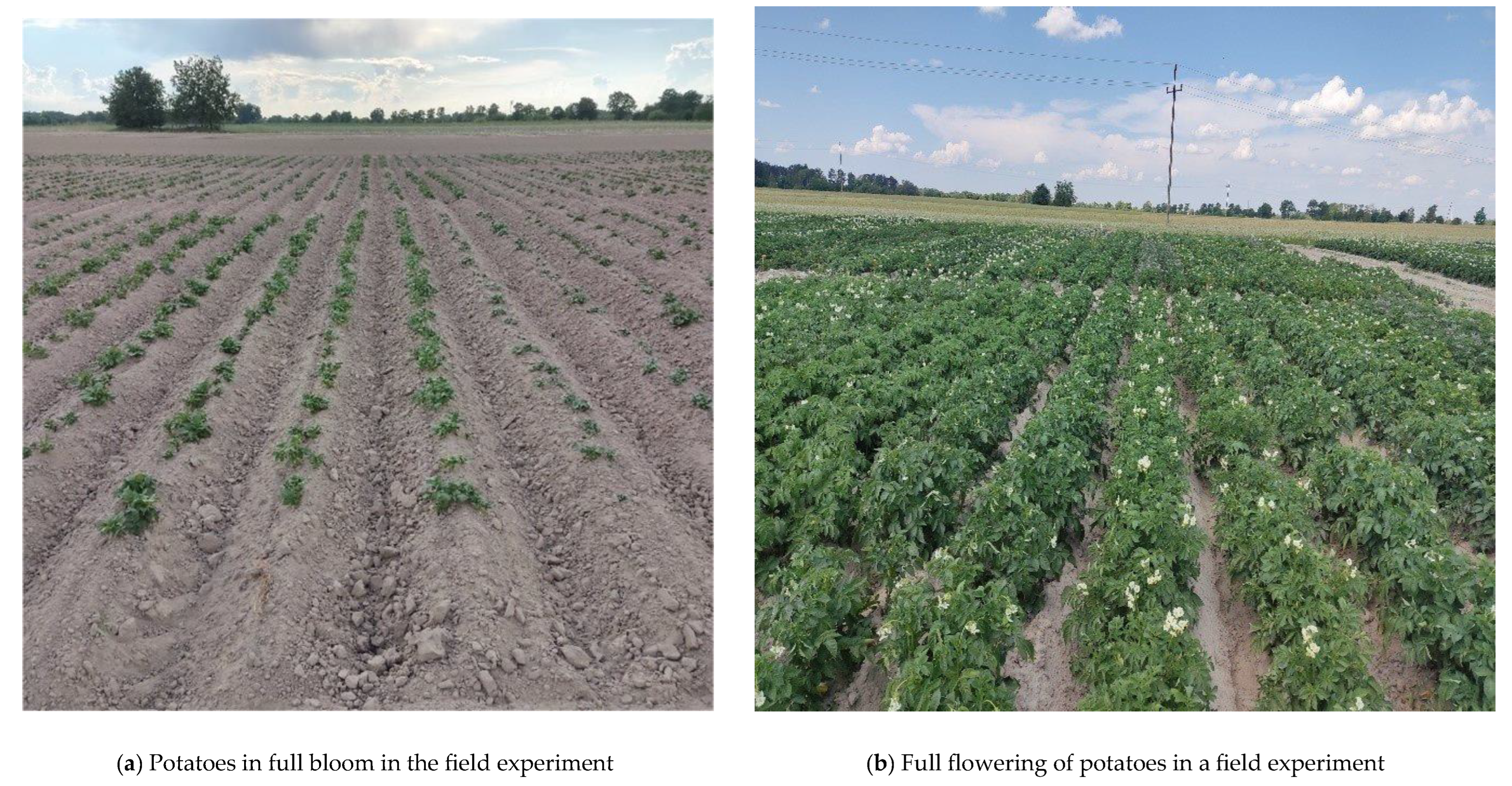 Sustainability 17 00828 g003a