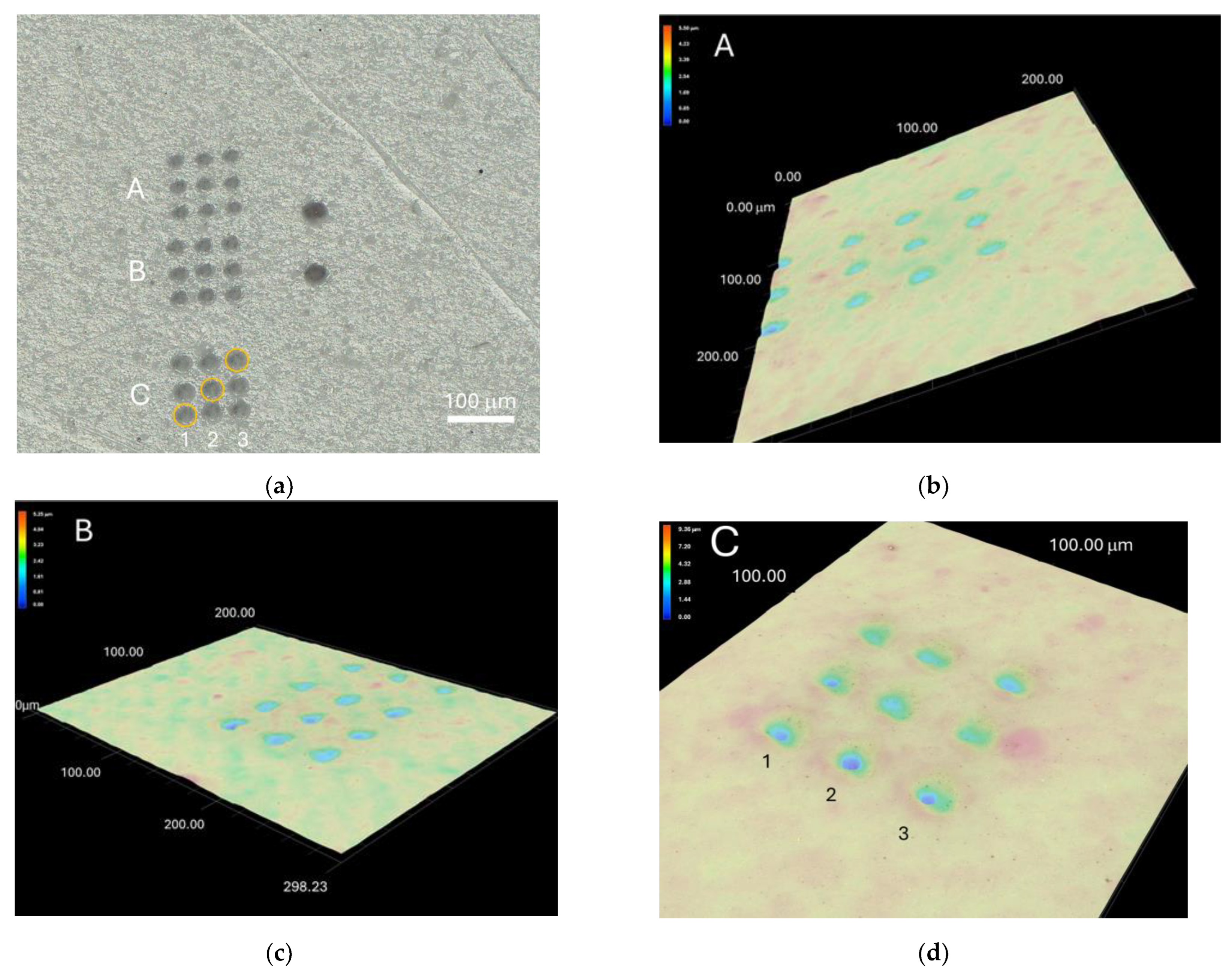 Sustainability 17 00838 g001