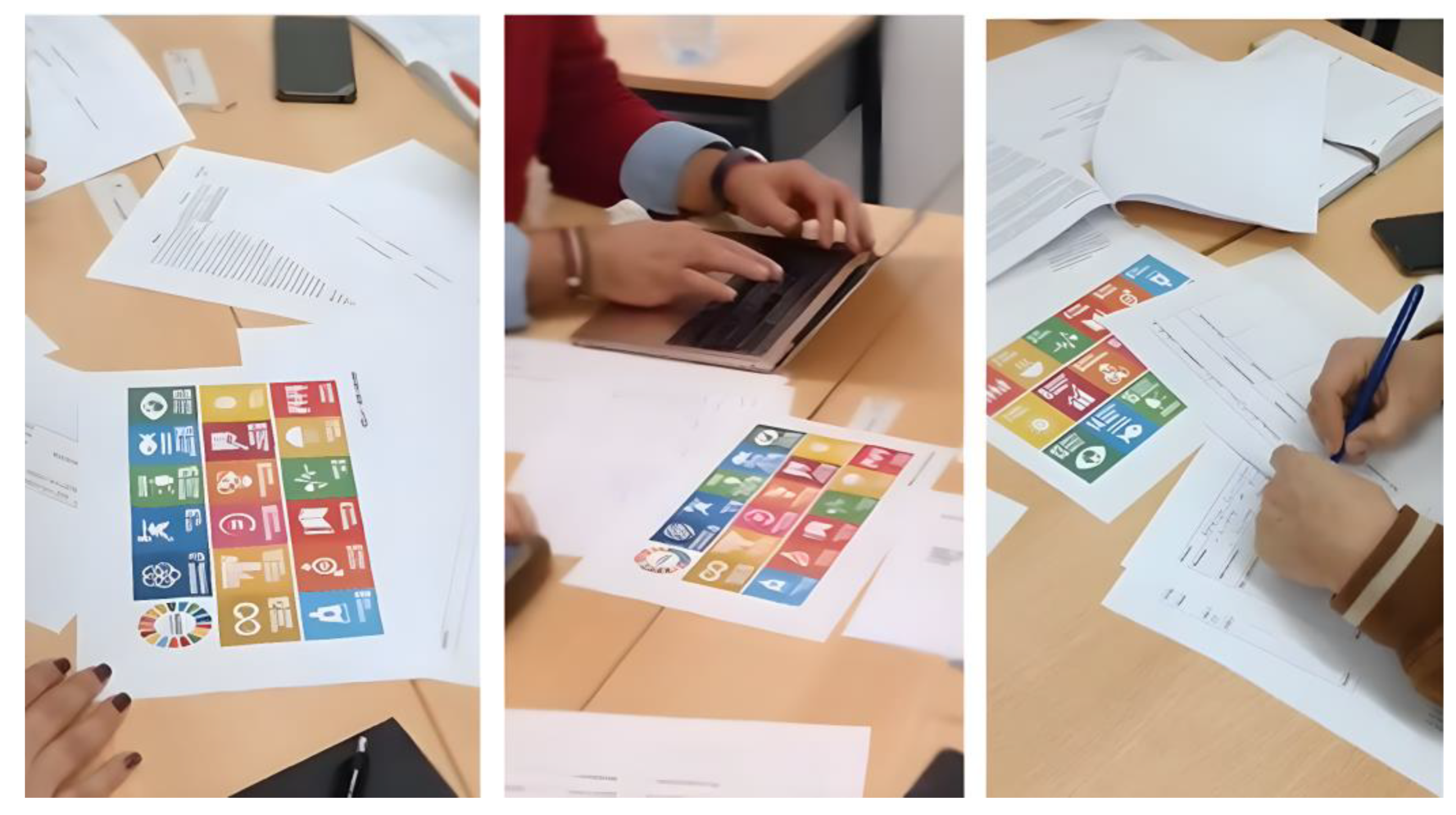 Sustainability 17 00862 g002