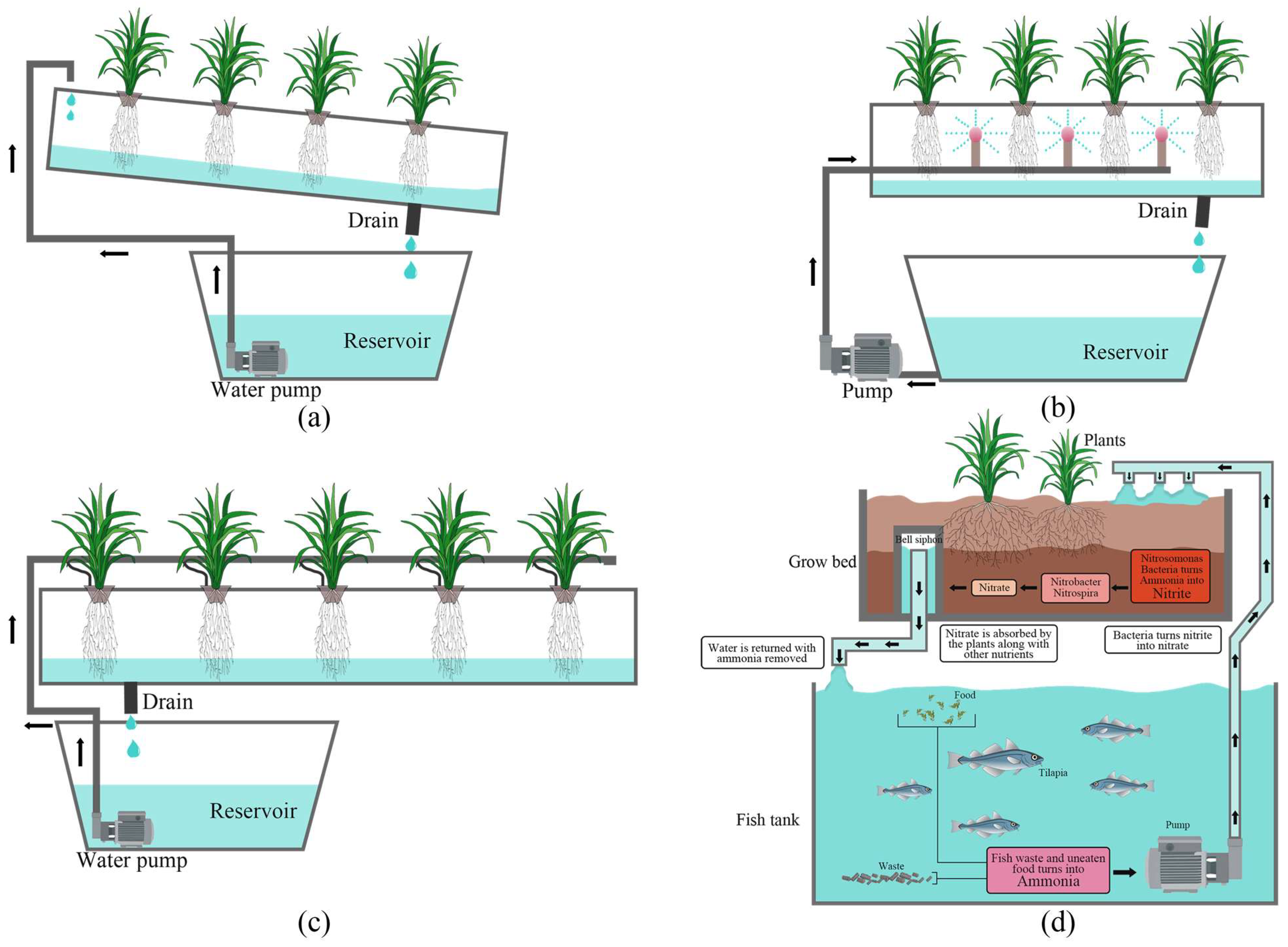 Sustainability 17 00921 g004