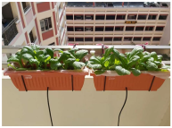 Sustainability 17 00921 i018