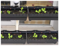 Sustainability 17 00921 i020