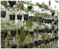 Sustainability 17 00921 i023