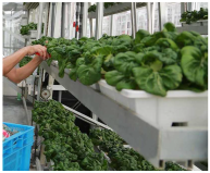 Sustainability 17 00921 i024