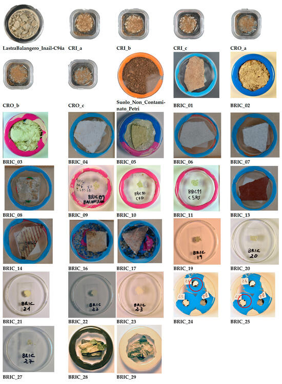 Sustainability 17 00972 g0a1b