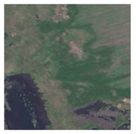 Sustainability 17 00996 i005