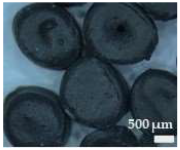 Sustainability 17 01052 i001