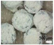 Sustainability 17 01052 i003