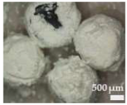 Sustainability 17 01052 i005