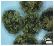 Sustainability 17 01052 i006