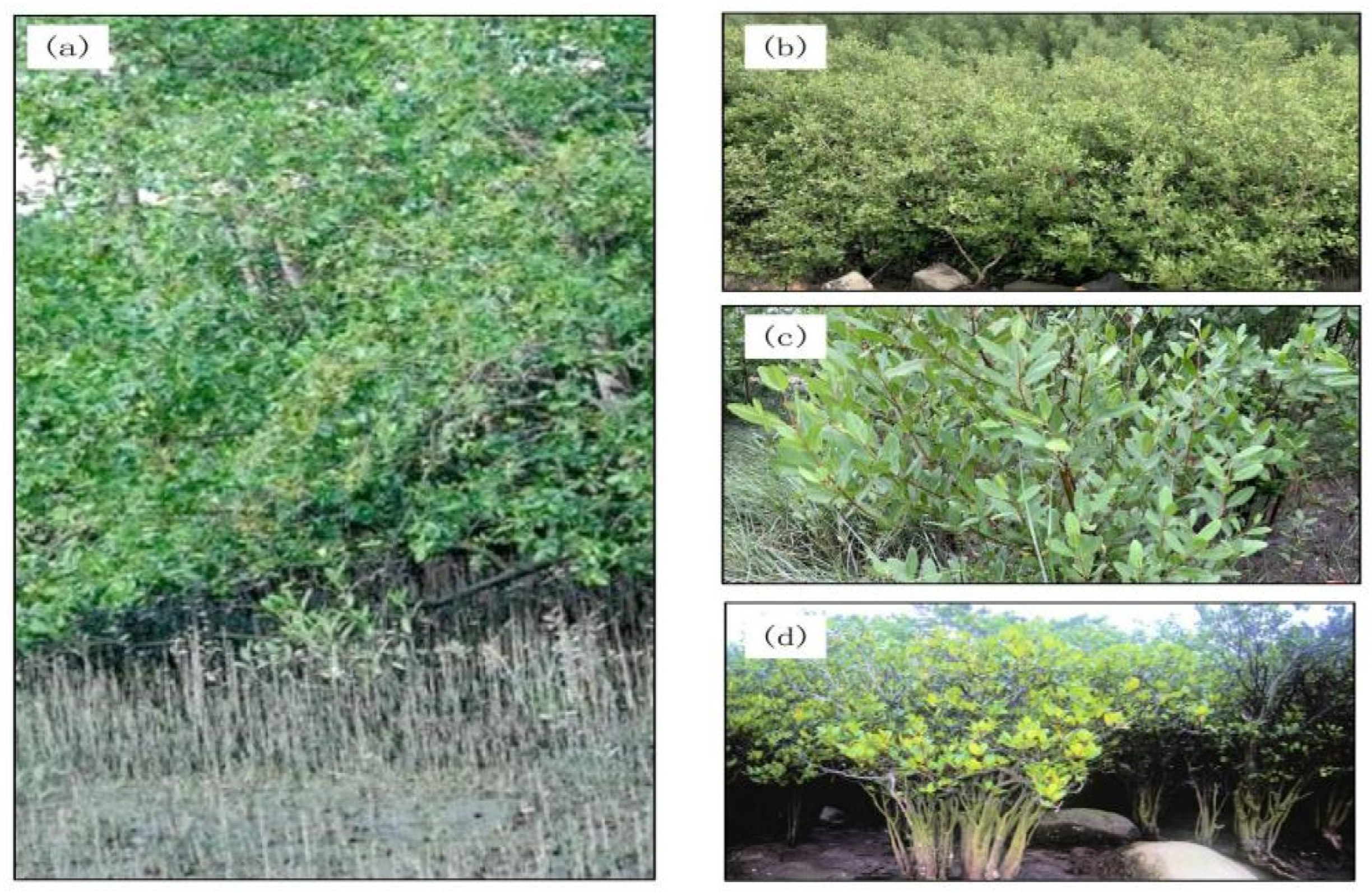 Sustainability 17 01069 g003